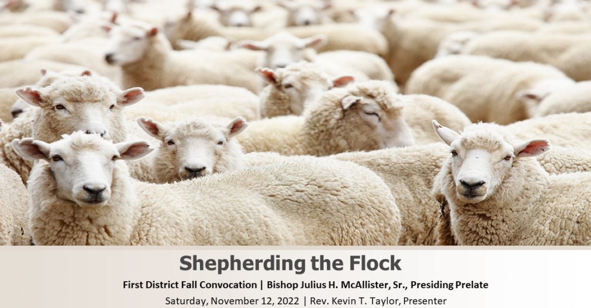 Shepherding the Flock
